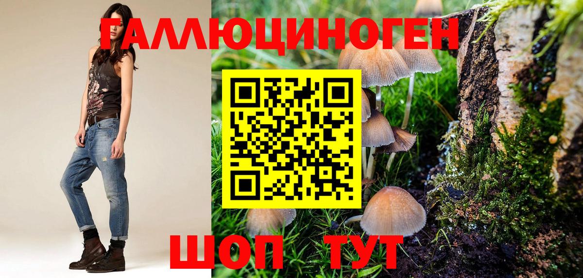 Псилоцибиновые грибы мухоморы Щёлково