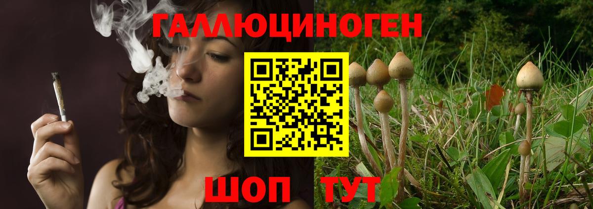 Щёлково  Псилоцибиновые грибы ЛСД  наркотики  Вход с VPN 
